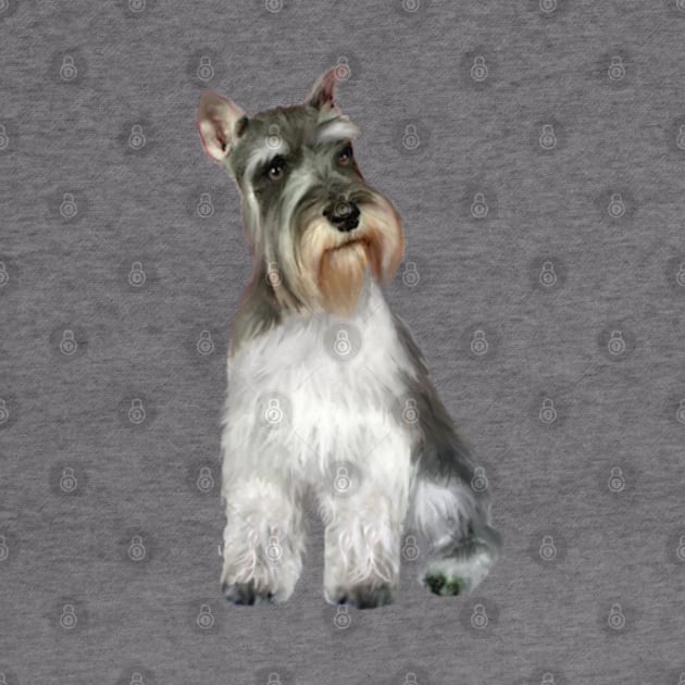 Schnauzer by Dogs Galore and More